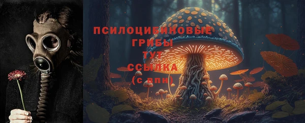 прущая мука Алзамай
