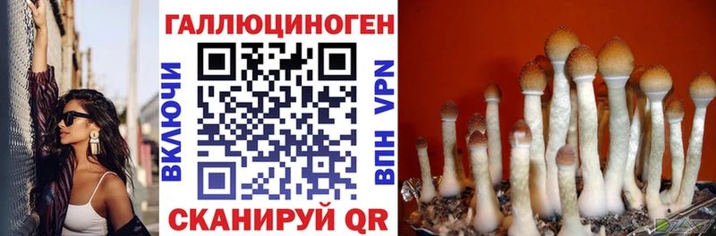 Псилоцибиновые грибы GOLDEN TEACHER  Евпатория 