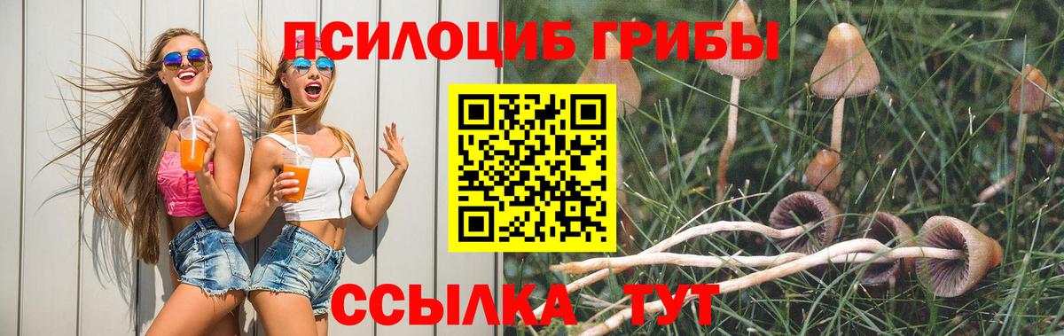 Евпатория  Псилоцибиновые грибы прущие грибы  Вход с VPN 