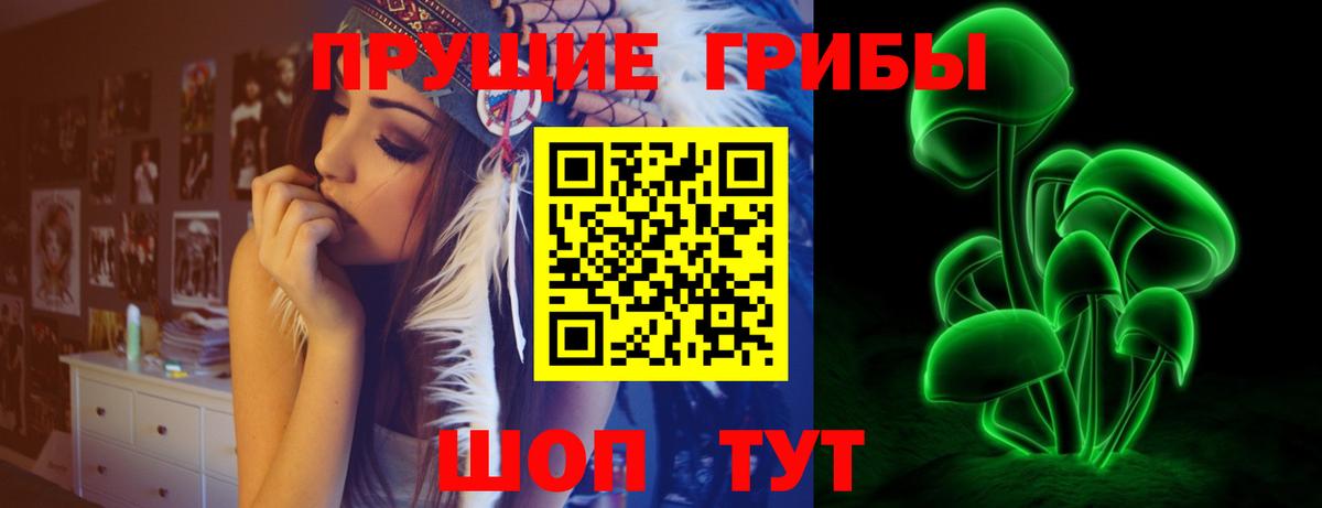 Псилоцибиновые грибы Psilocybine cubensis Евпатория